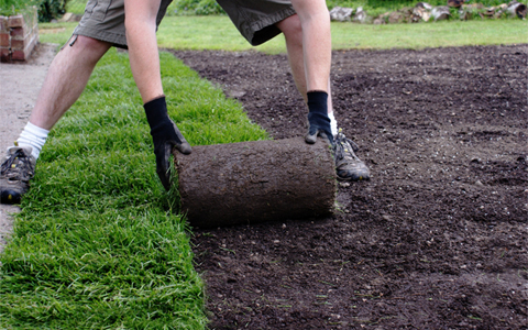 Sod Installation