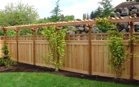 Sod Installation